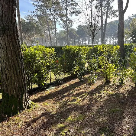 Apartmán Gemini - Gemini